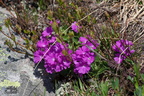 IMG 7871