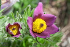 IMG 7880